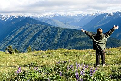 With DOGE Making Cuts at National Parks, Can You Still Use Your Senior Pass?