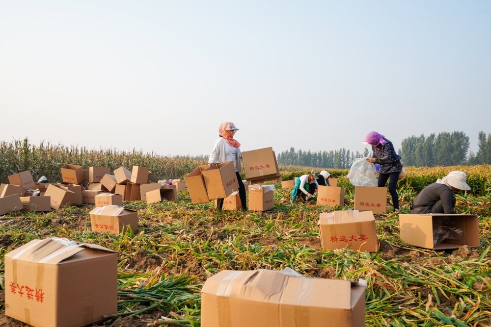 E-commerce drives China’s green packaging growth