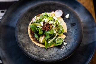 Overhead Shot of Pre-Hispanic Mole Tostada with Chapulines and Quelites
