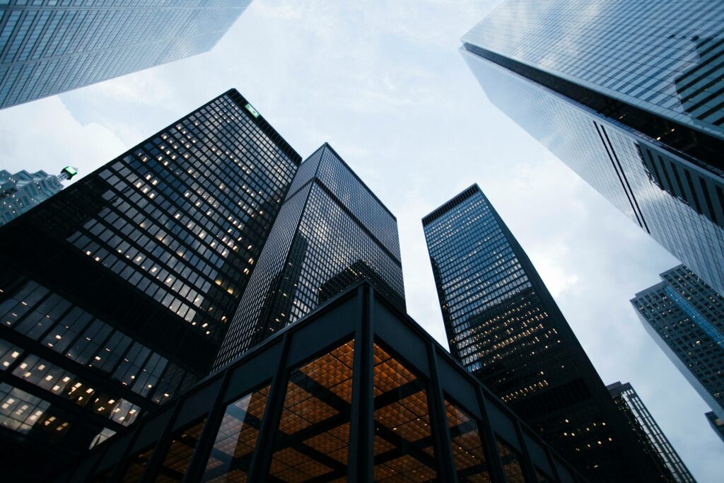AIECA: A Platform for Expertise and a Gateway to Global Markets for Central Asian Businesses