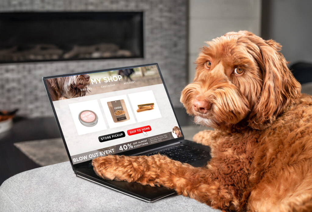 Every Shiba Inu Investor Should Keep an Eye on This Numbers in 2025