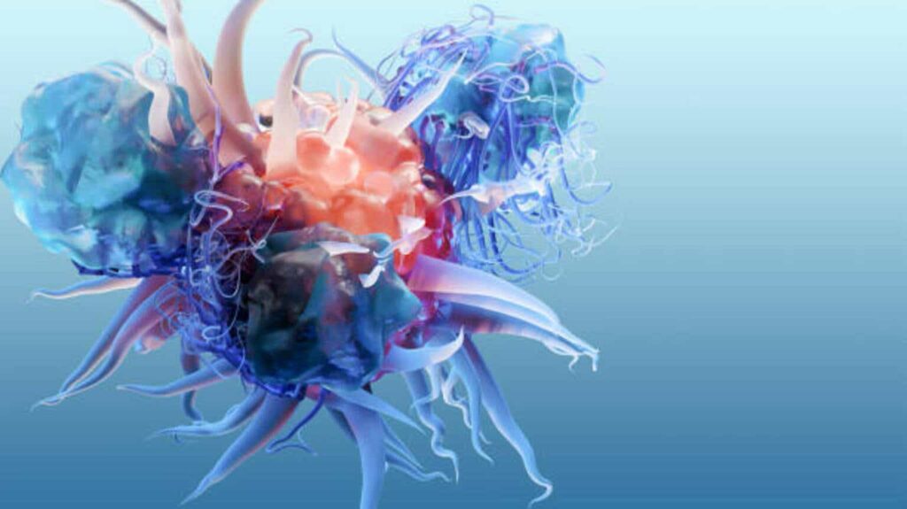 Immunome: Transformed Pipeline Offers Multiple Catalysts