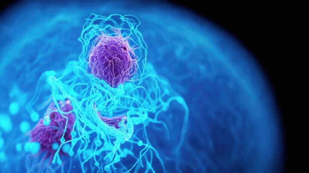 Merus: Riding The Bispecific Wave In Oncology
