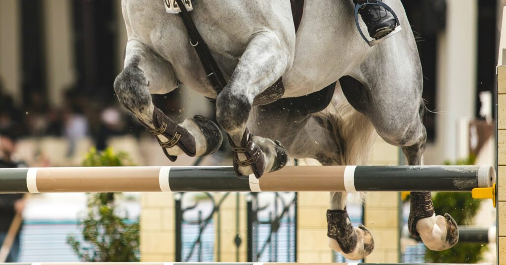 The Digital Gallop: Exploring the Role of Tech in Modern Horse Racing