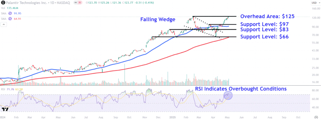 Watch These Palantir Price Levels as Stock Plunges After Earnings Match Expectations