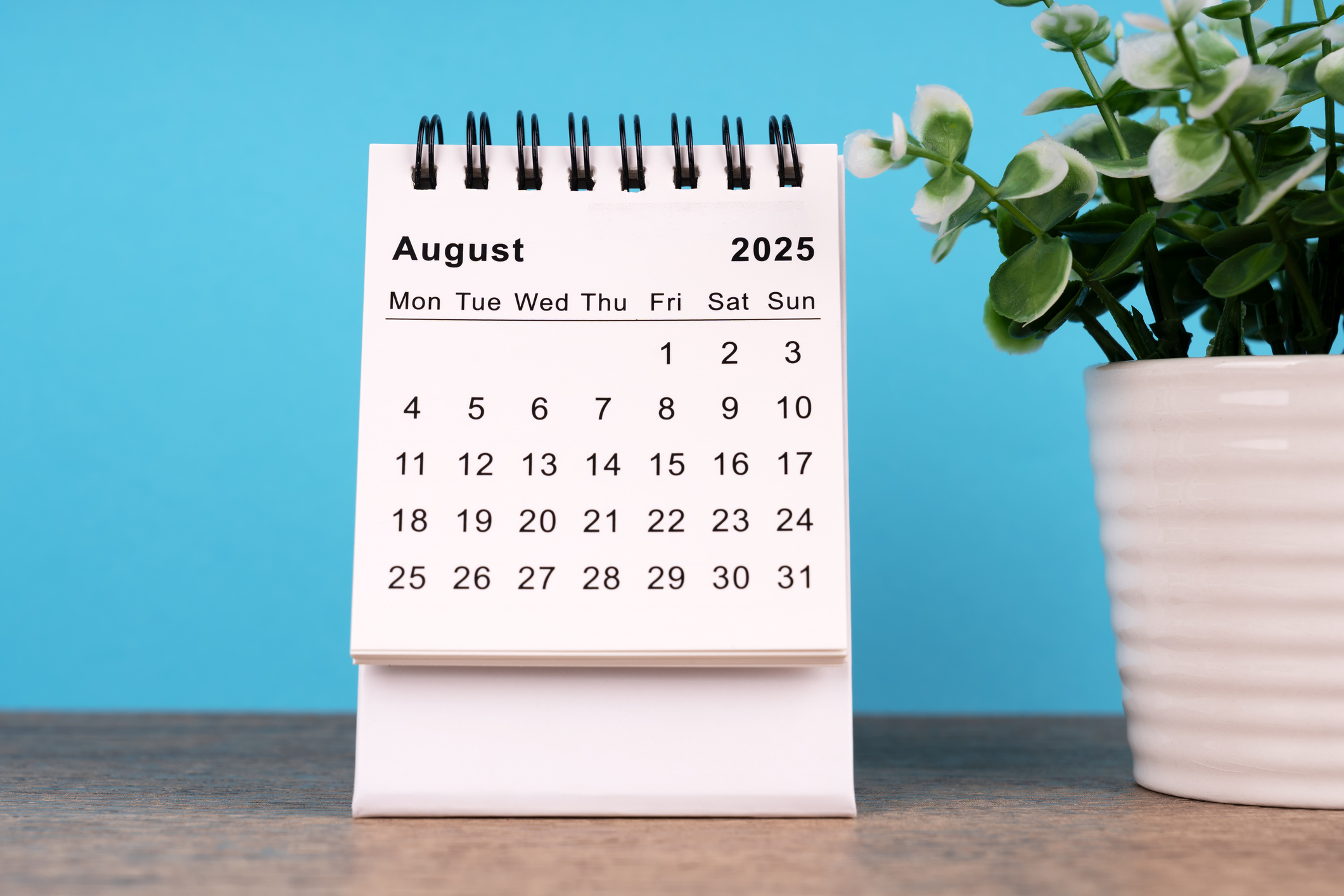August 2025 Desk Calendar - stock photo
