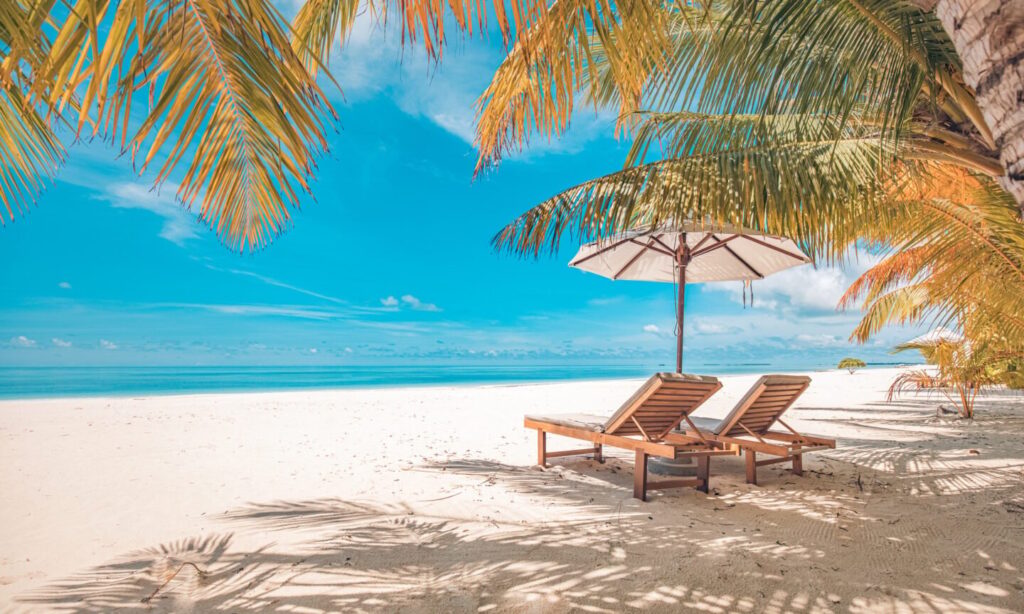 Summer, Fun, Vacation