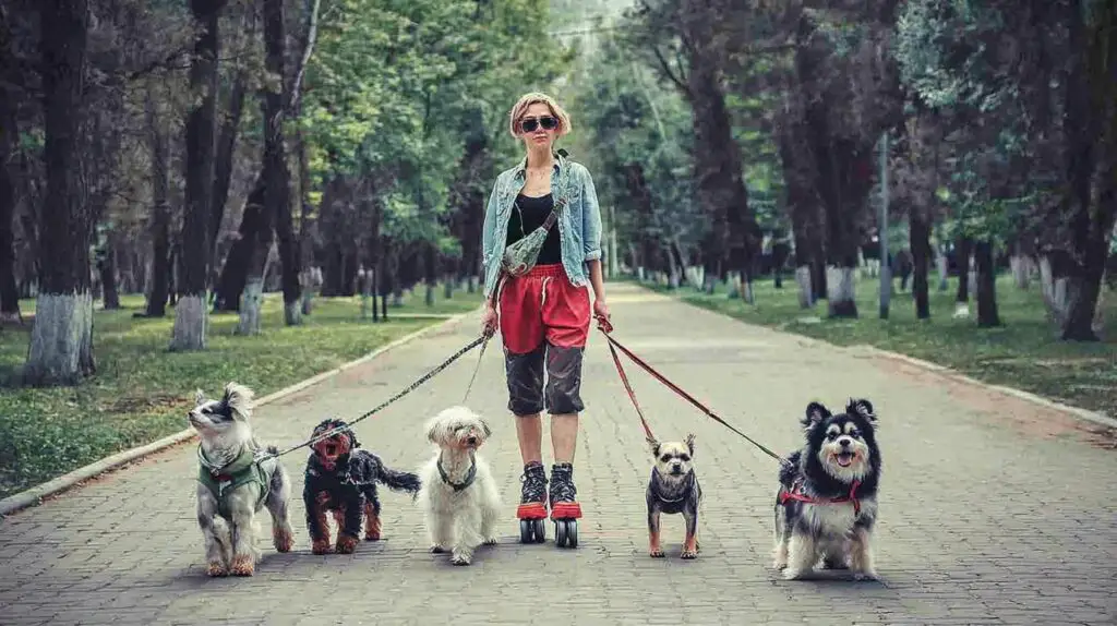 23 Best Side Hustles For Women 4 A person happily interacting with multiple dogs or cats, showcasing the pet sitting service in a friendly home environment.