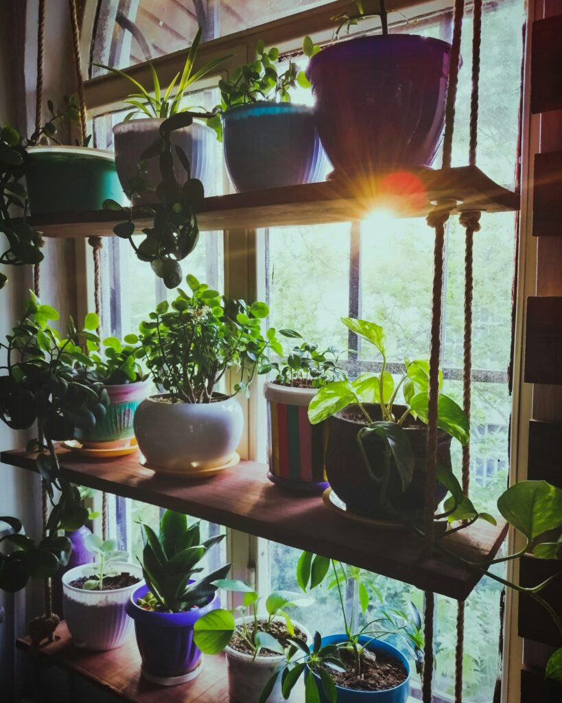 Sustainable Exhibiting