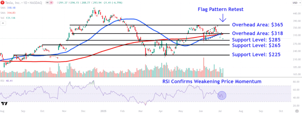 Watch These Tesla Price Levels as Stock Plunges After Musk Announces New Political Party