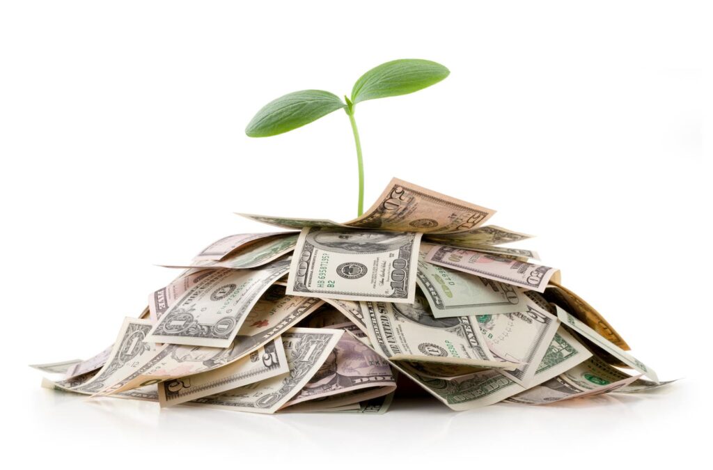 BNY Mellon Small/Mid Cap Growth Fund Q2 2025 Commentary