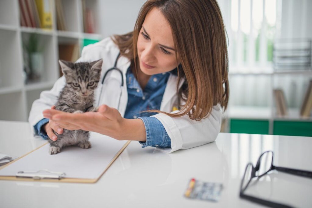 How much does pet insurance cost?