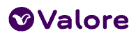 Valore Books Logo valore books logo