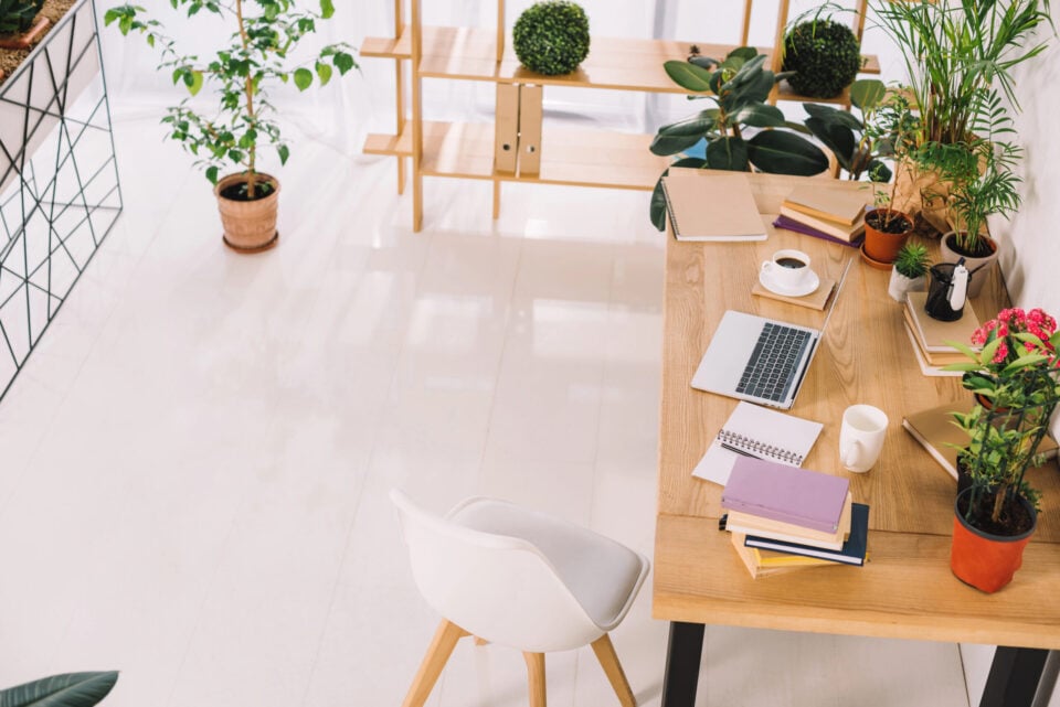 What I Learned About Blogging, Money, and Freedom