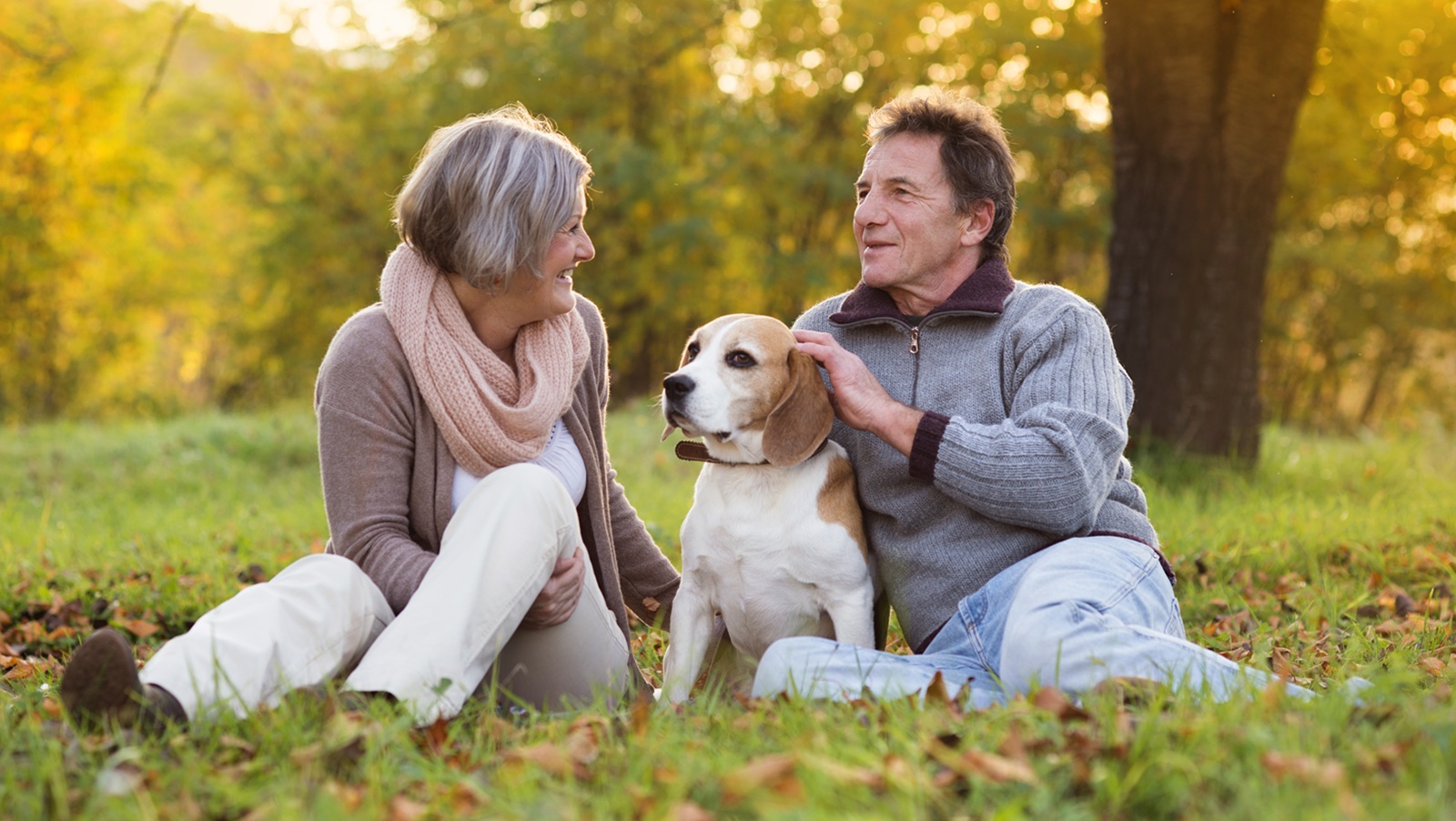 Senior couple walking their beagle dog in autumn countryside