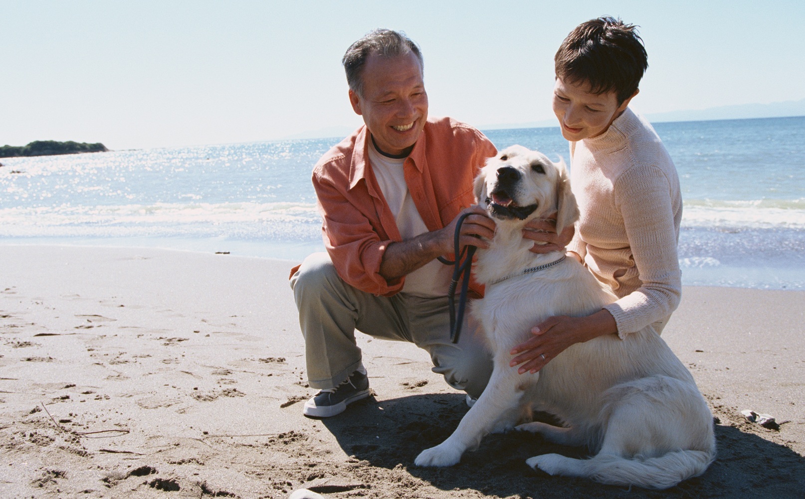 A retired couple sit on the beach with their dog.