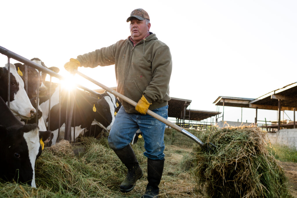 2 Dividend Stocks to Buy As Washington Stalls
