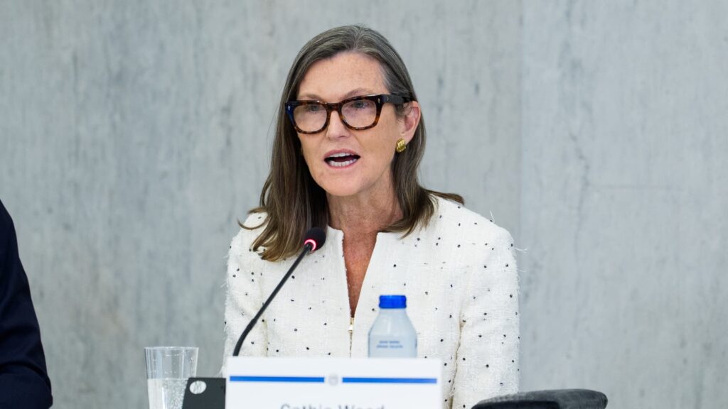 Cathie Wood flags market correction risk but rejects AI bubble fears