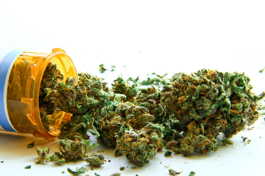 Tilray Brands (TLRY) Hits New All-Time High as Trump Promotes Cannabis, CBD for Medical Use