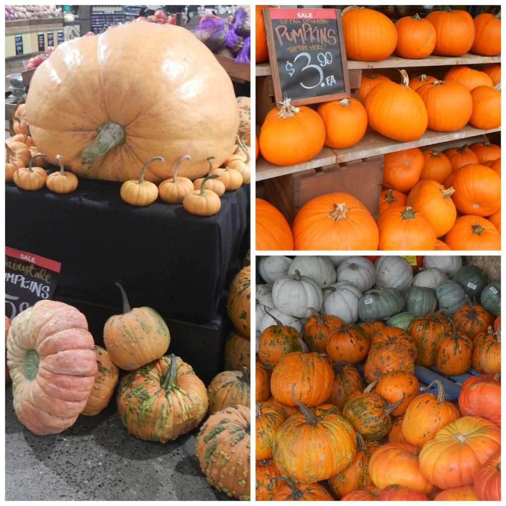 Main & Vine Pumpkin
