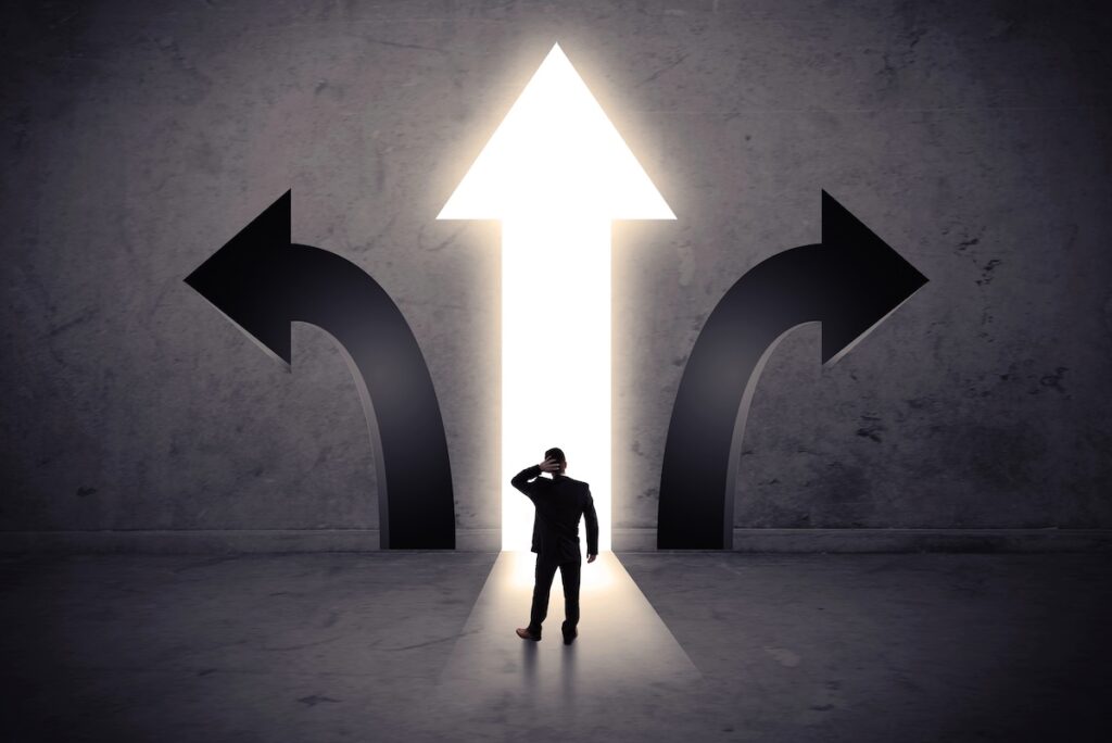 Repayment Assistance Plan (RAP) vs. IBR, PAYE, and SAVE