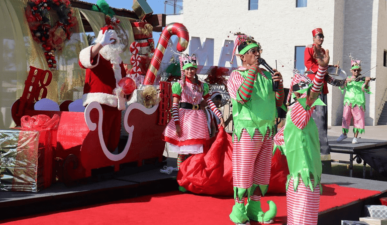 Adult, Female, Person