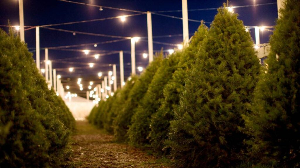 Beloved 42-year-old Christmas destination closing for good