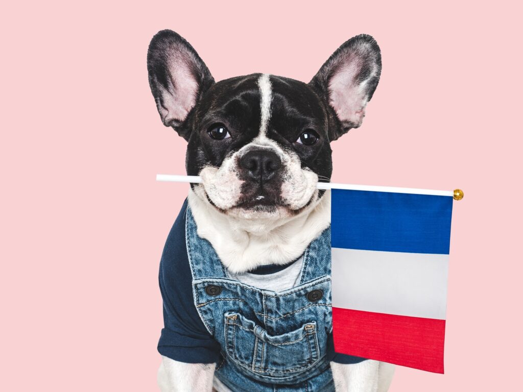 IDVO: I Say 'Oui' To This International Covered Call Fund