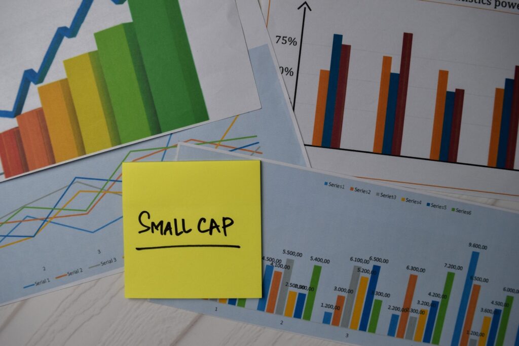 Harbor International Small Cap Fund Q3 2025 Commentary