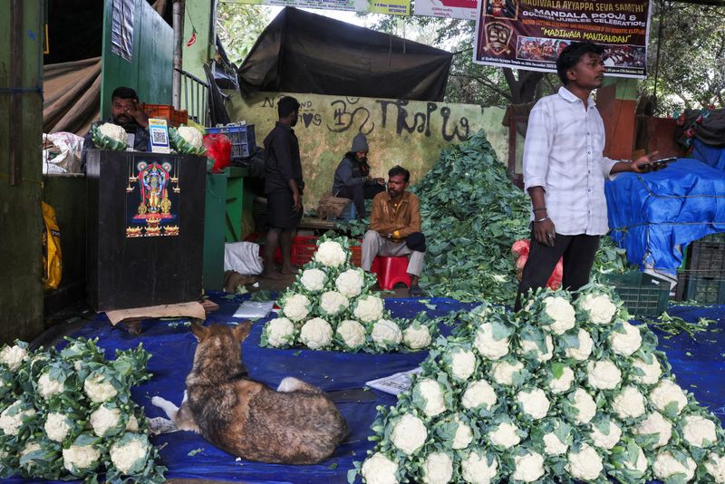 India’s December retail inflation rises to 1.33% y/y