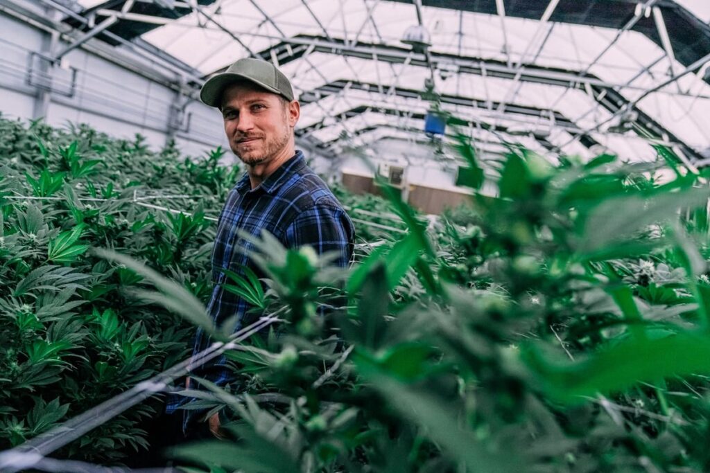 Should You Buy Canopy Growth Stock Before Feb. 6?