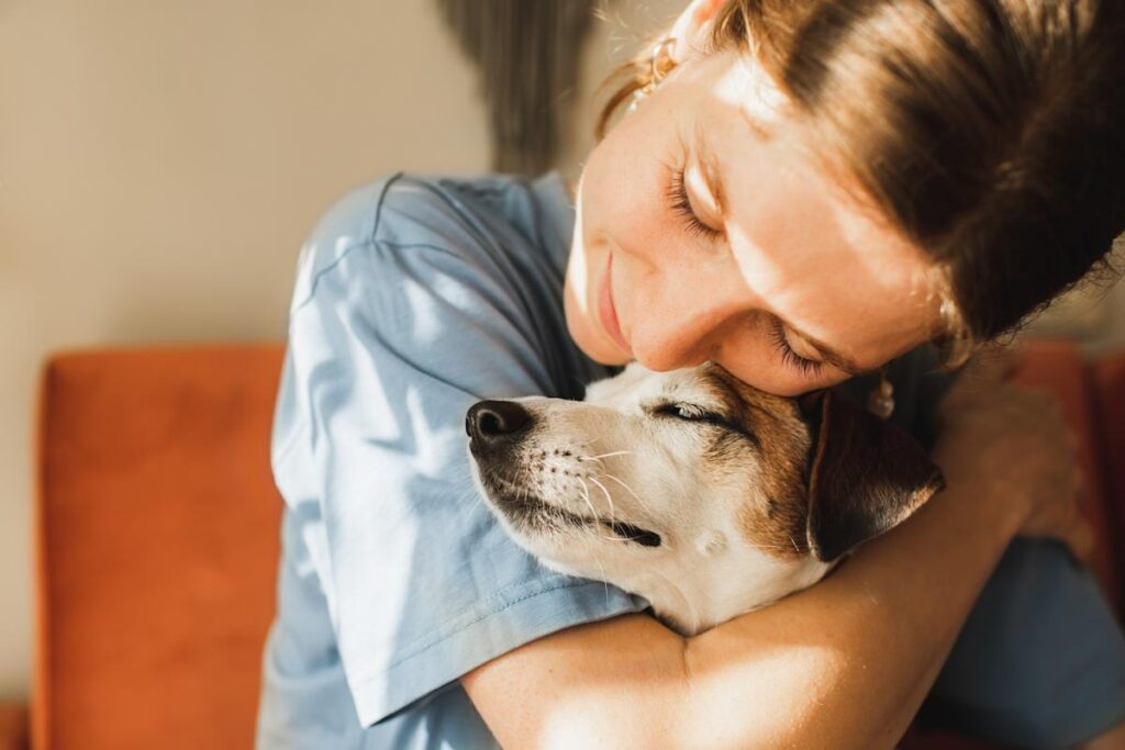 Odie pet insurance review 2026: 2.7 out of 5 stars