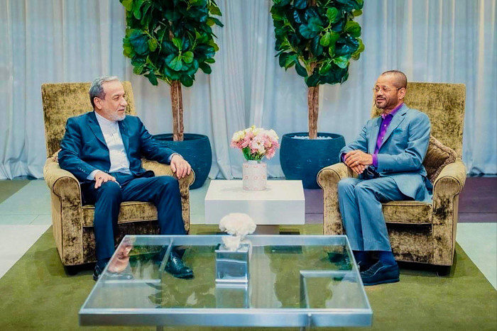 Abbas Araghchi and Badr Albusaidi seated across from each other in armchairs, meeting in a formal setting with flowers on a table between them.