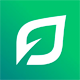 LendingTree Stock Quote
