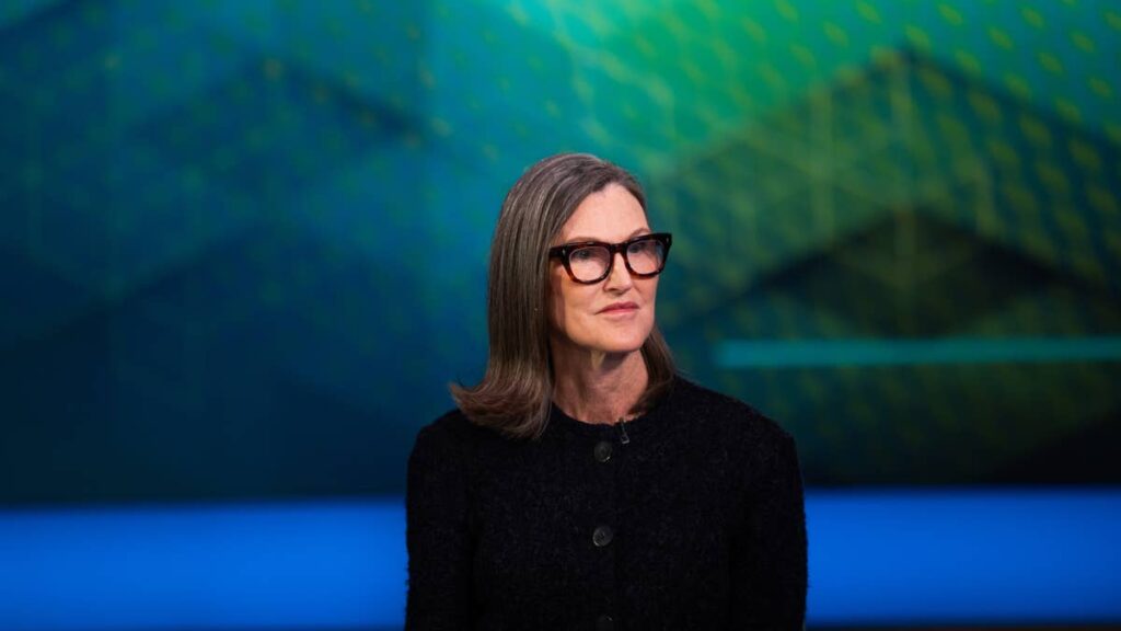 Cathie Wood buys $6.5 million of megacap tech stock