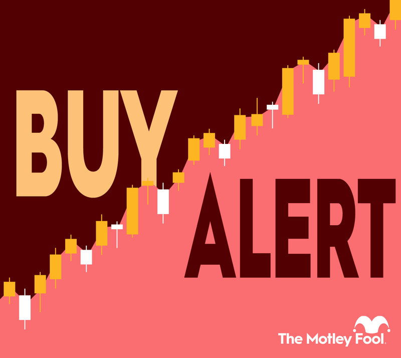 The Motley Fool