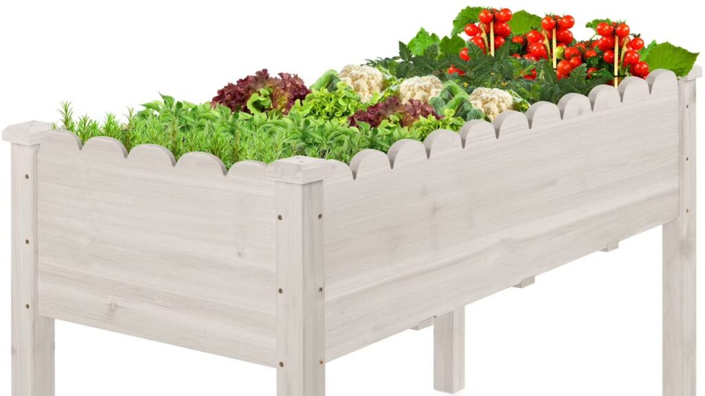 Walmart's scalloped raised garden bed allows you to grow herbs, flowers, and more for $110