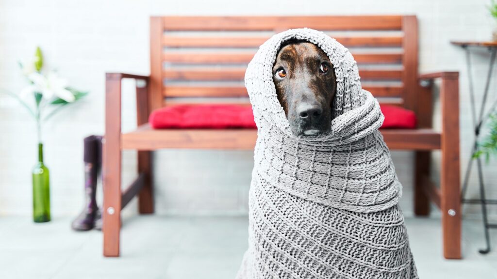 How to Overcome Retirement Anxiety and Fear