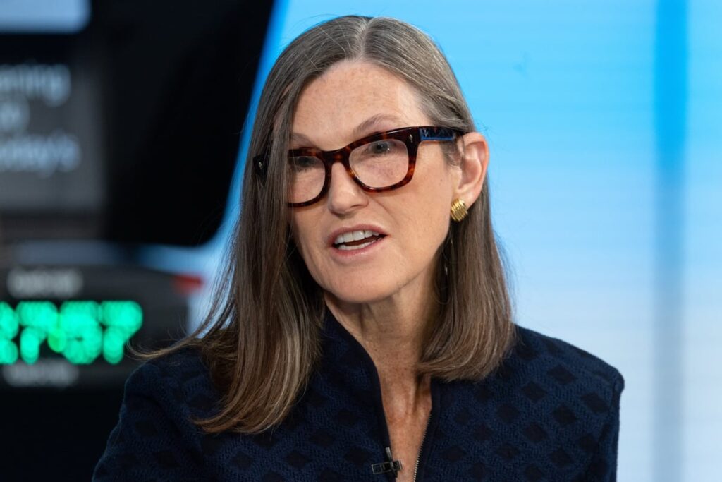 Cathie Wood, CEO of Ark Investment Management