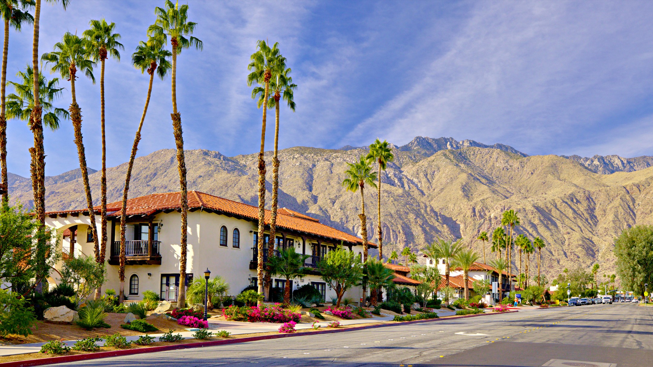 Palm Springs. Suburban street with palm trees.