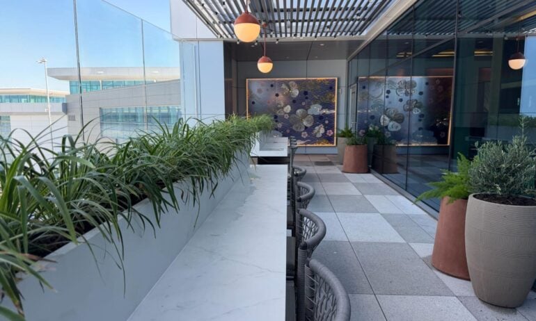 Indoors, Floor, Plant