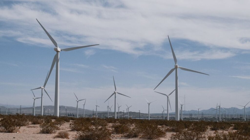 Investors stay committed to climate goals despite policy uncertainty