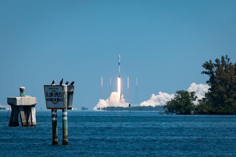 Is SpaceX's Starship a Threat to Rocket Lab Stock Now That It Has Reached Orbit?